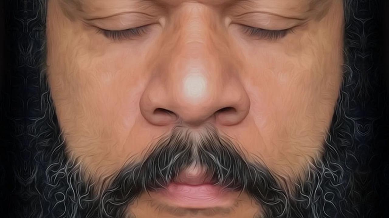 Dieudonné - En vérité