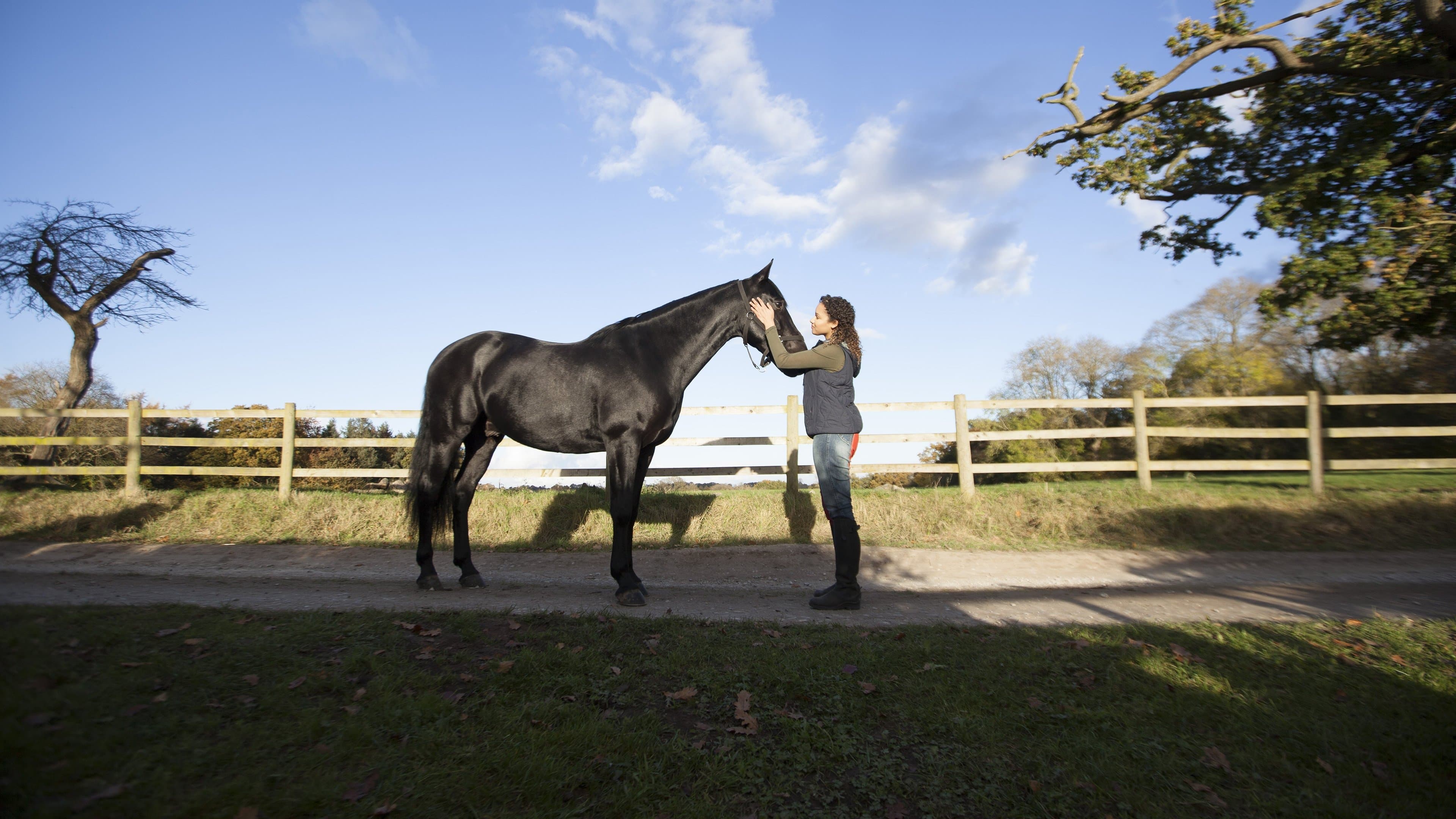 Zoe und Raven – Freiheit im Sattel