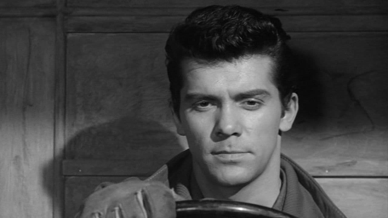 Wenn Scotland Yard das wüsste 2