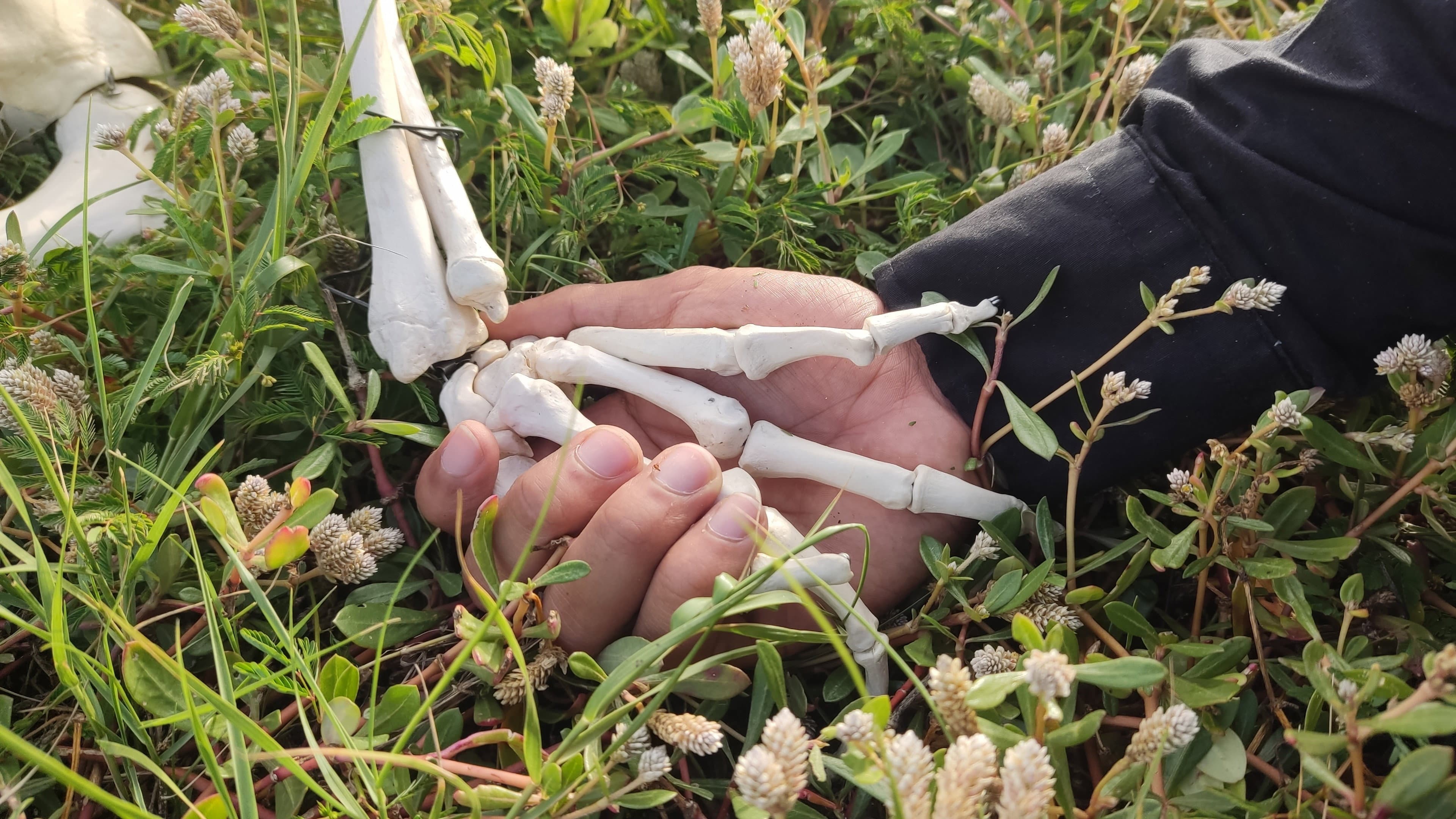 ¿Qué Haré Si Te Dejo Ir?