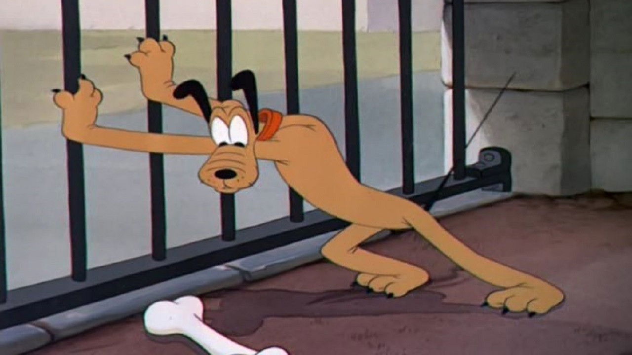 Pluto bei den wilden Tieren