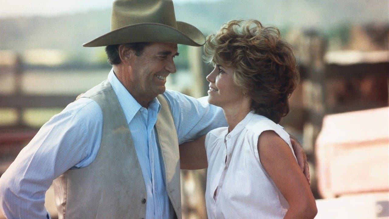 Die zweite Wahl - Eine Romanze