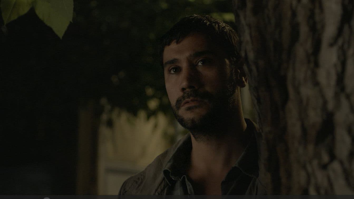 Gün Batımına Birkaç Gün Kala