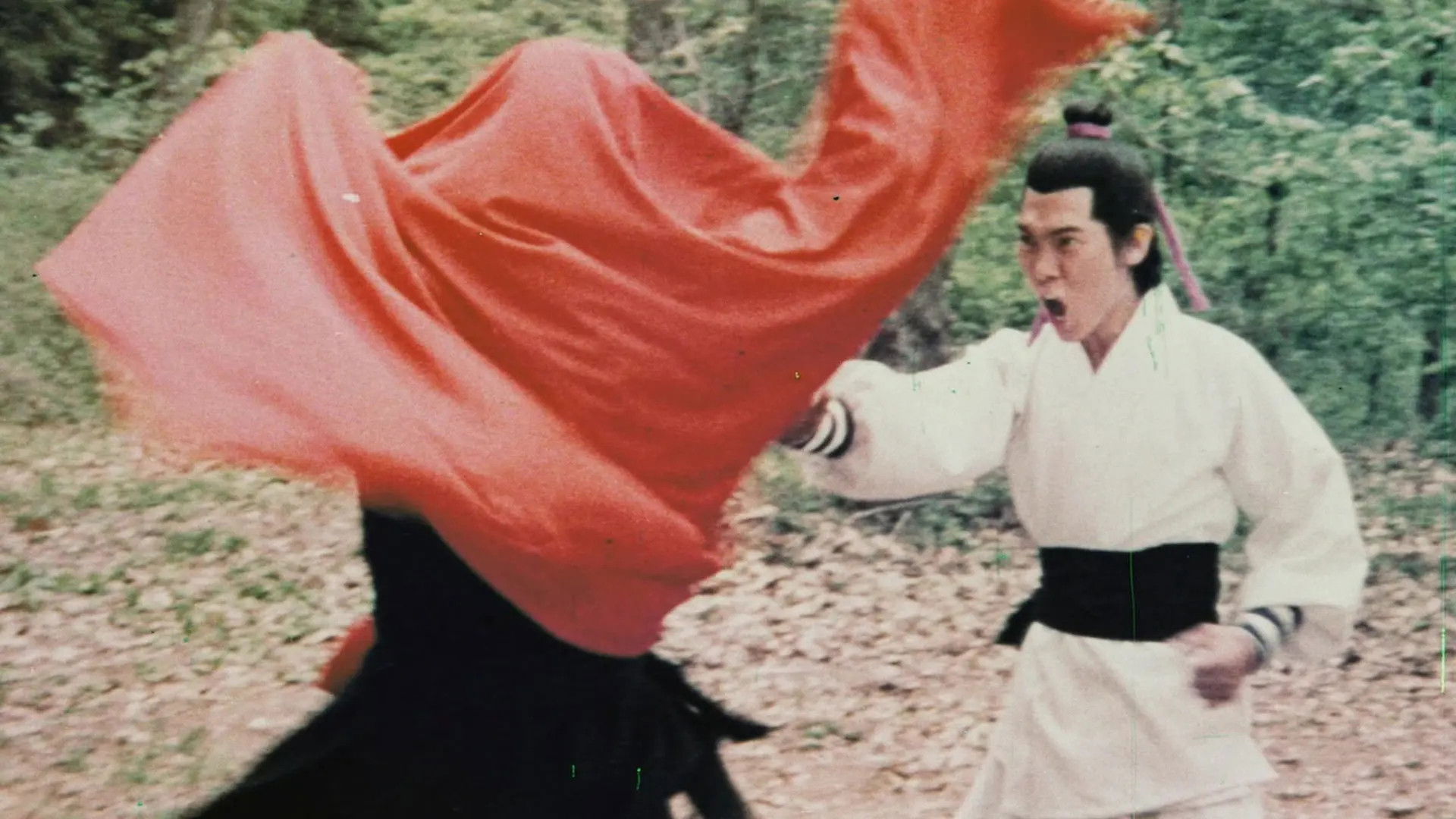 Die Silberfaust der Shaolin