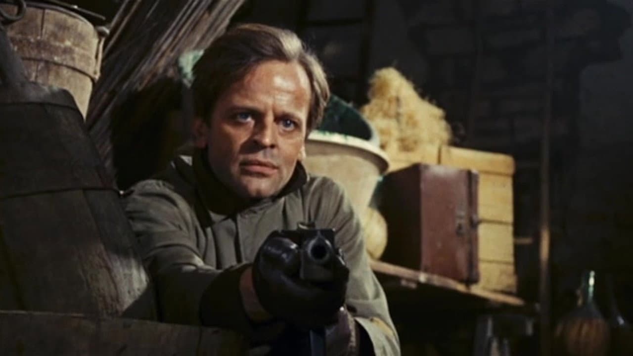 Die Leoparden kommen