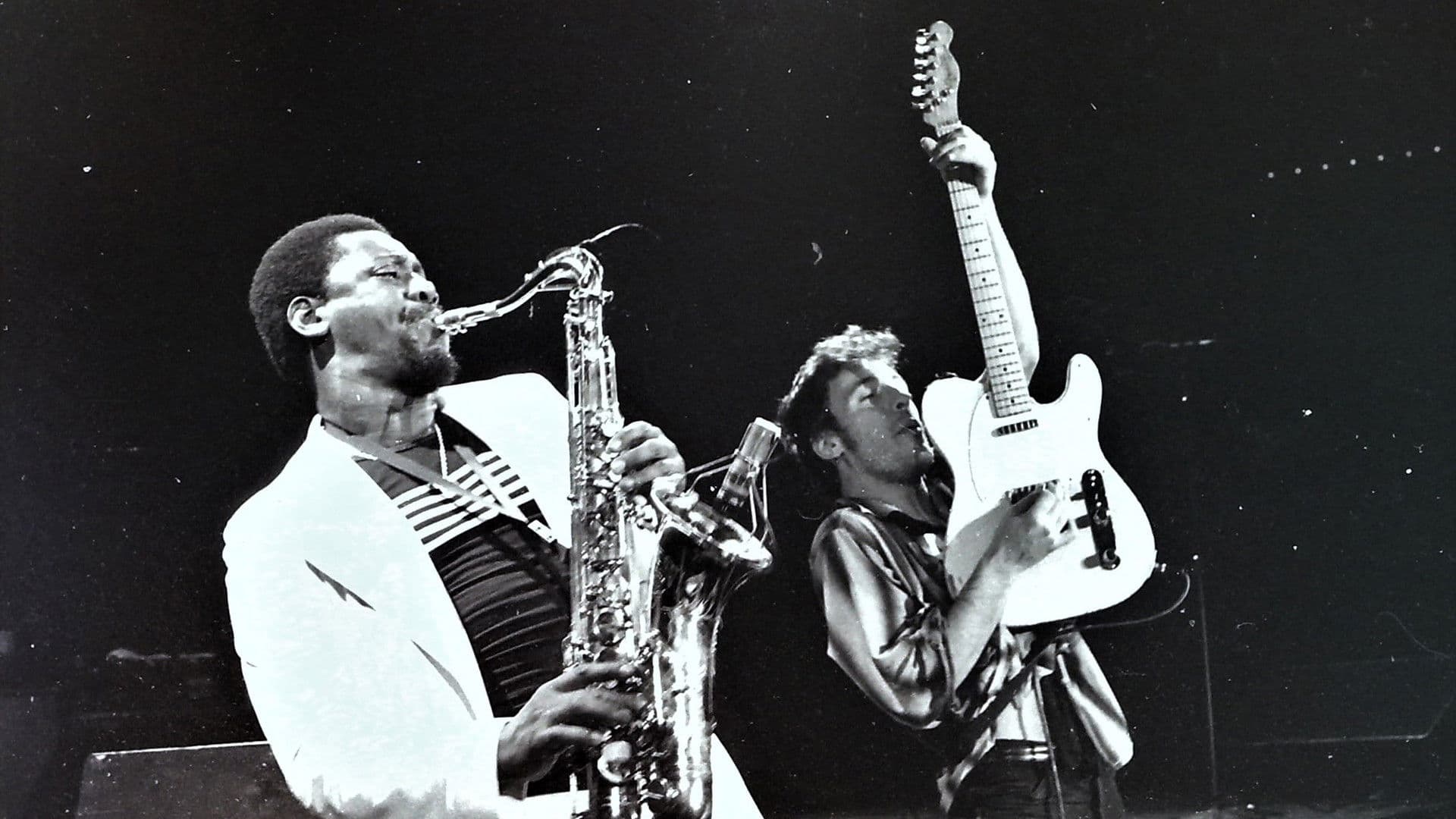 Bruce Springsteen & the E Street Band Houston '78 Bootleg: House Cut