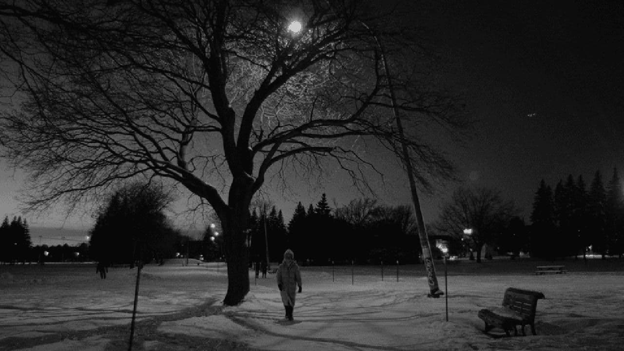 Les flocons de la fin du monde