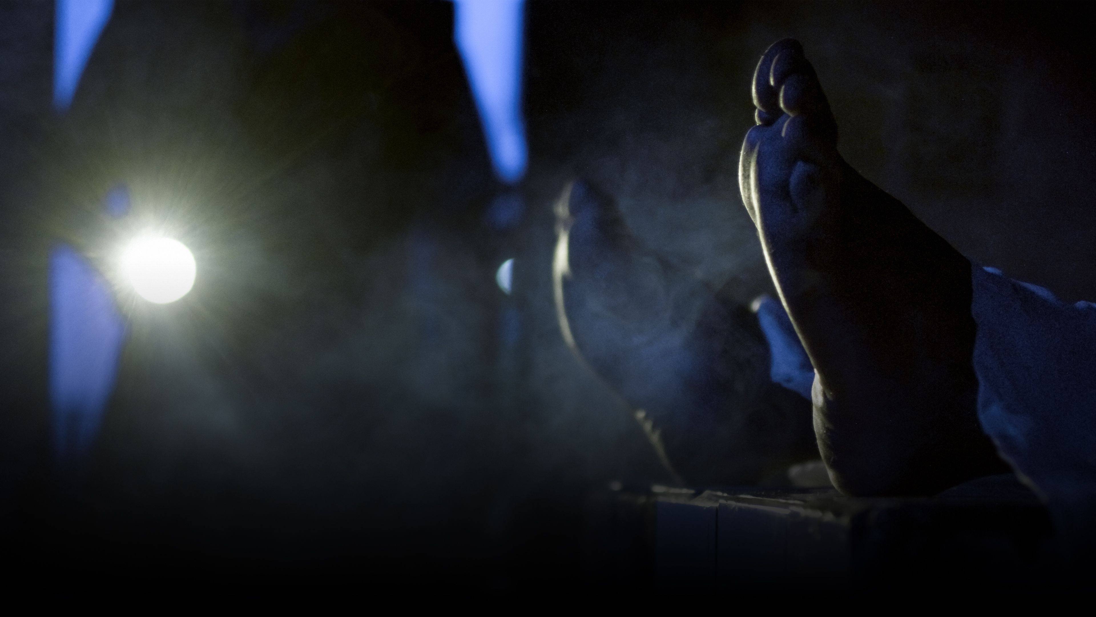 Morgue - Der Tod schläft nicht