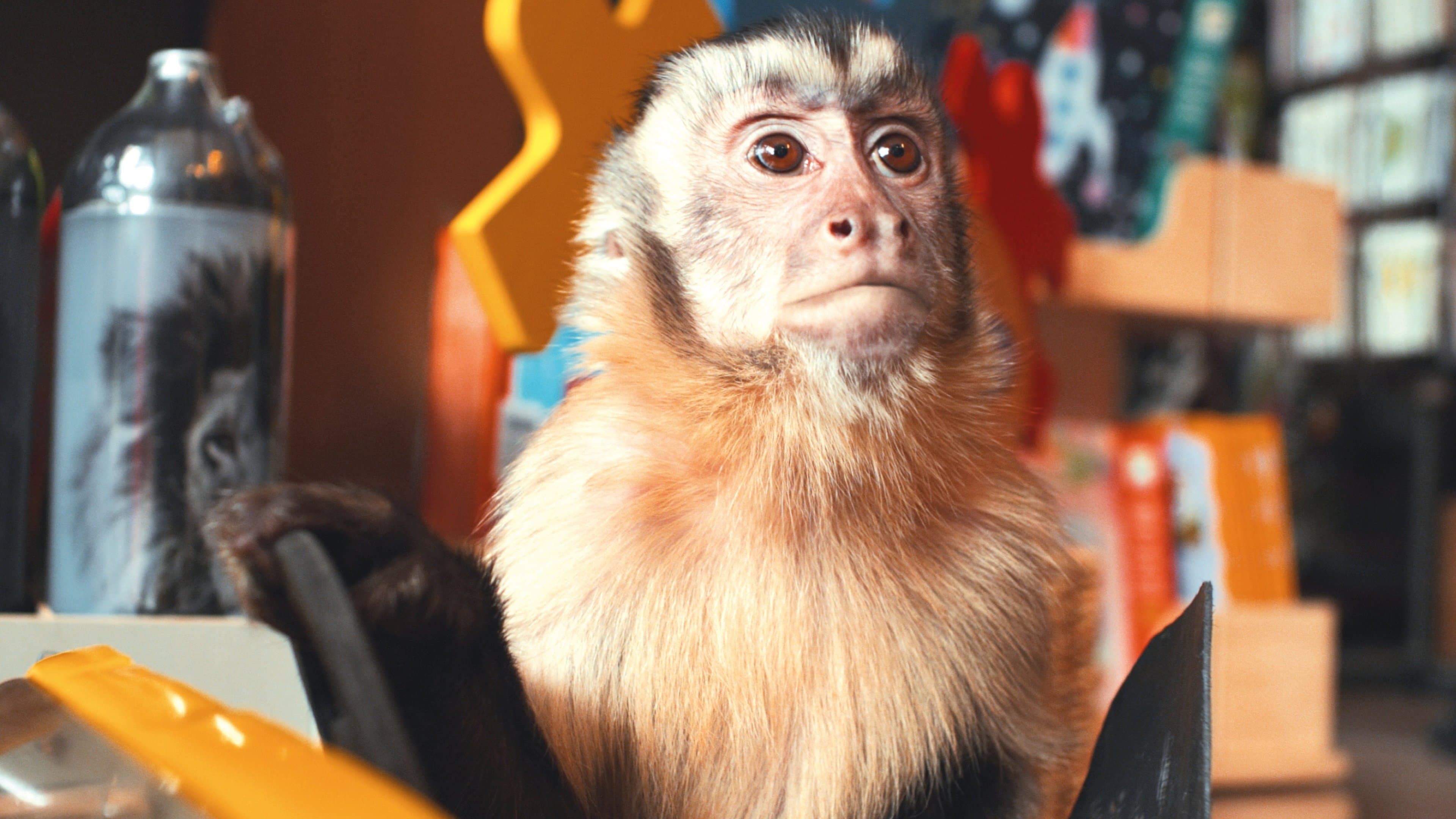 Akiko - Der fliegende Affe