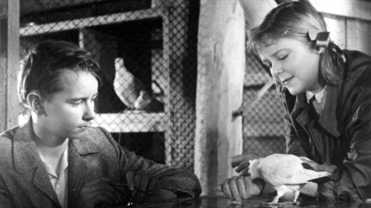 Верные сердца