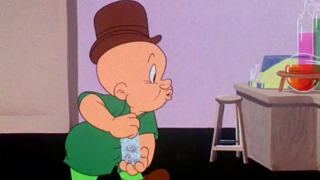 Dr. Elmer und Mr. Bugs