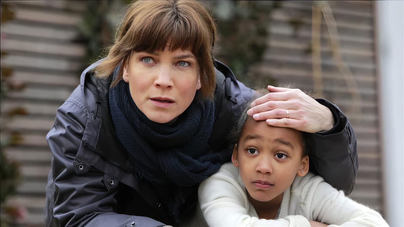 Irene Huss, Kripo Göteborg: Im Schutz der Schatten