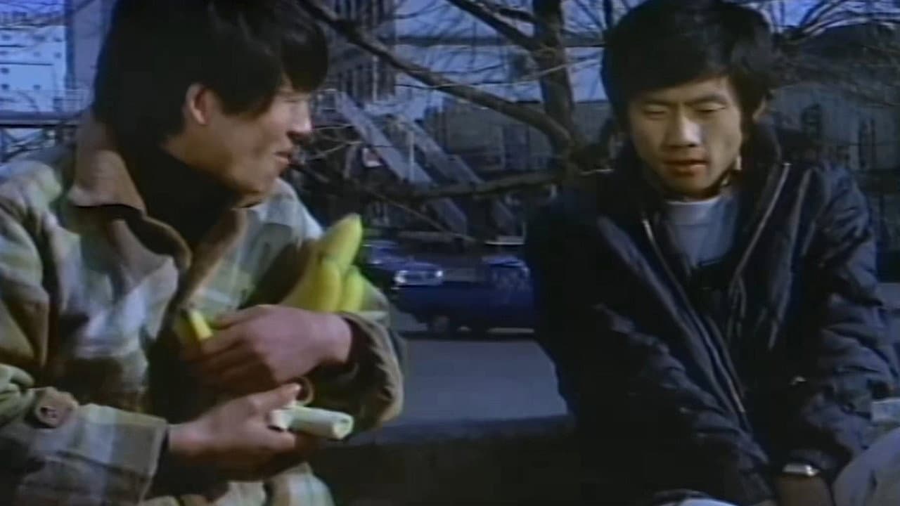 내 마음의 풍차