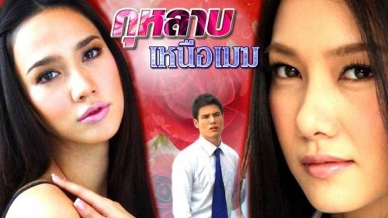 กุหลาบเหนือเมฆ