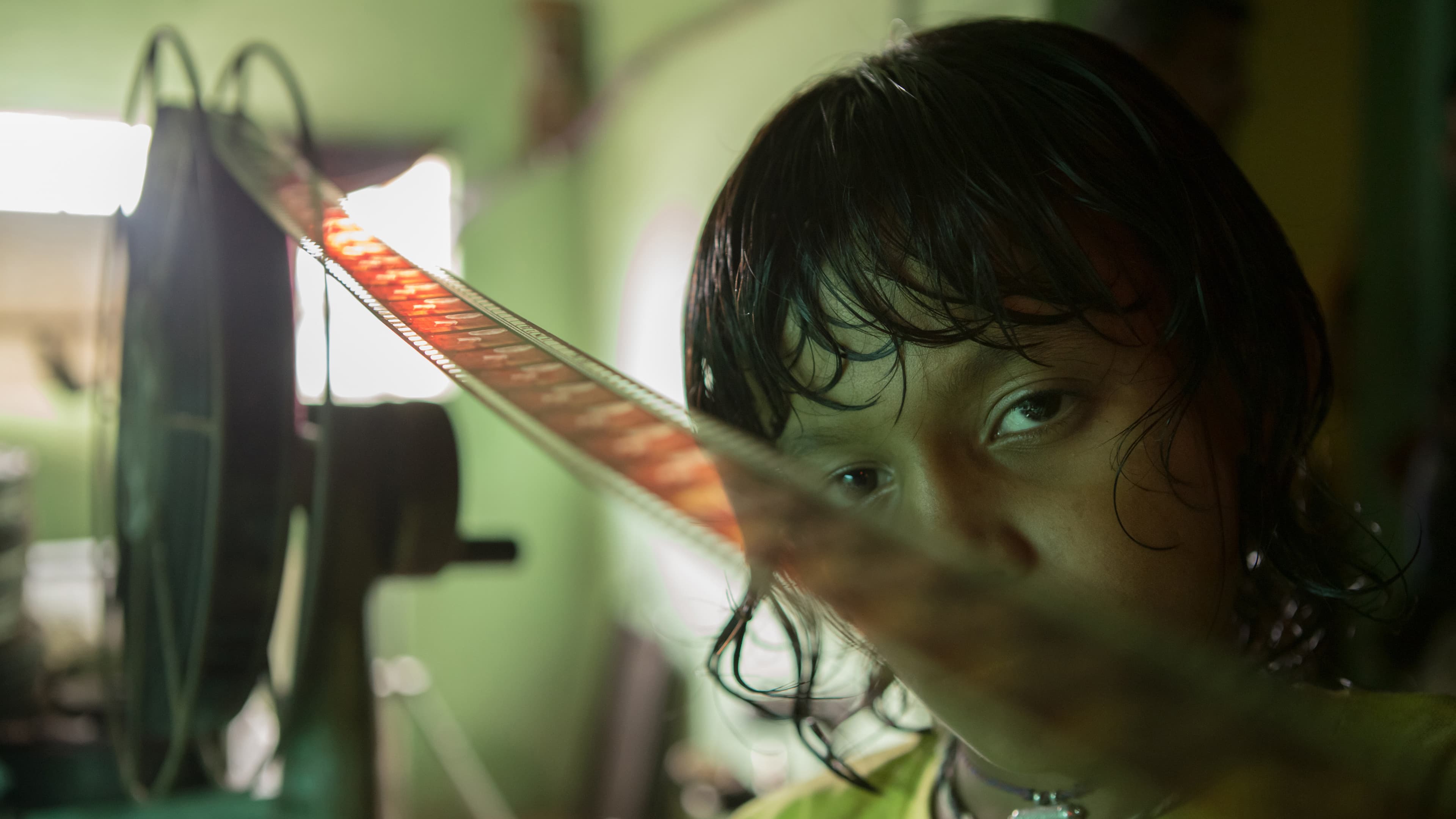 Das Licht, aus dem die Träume sind