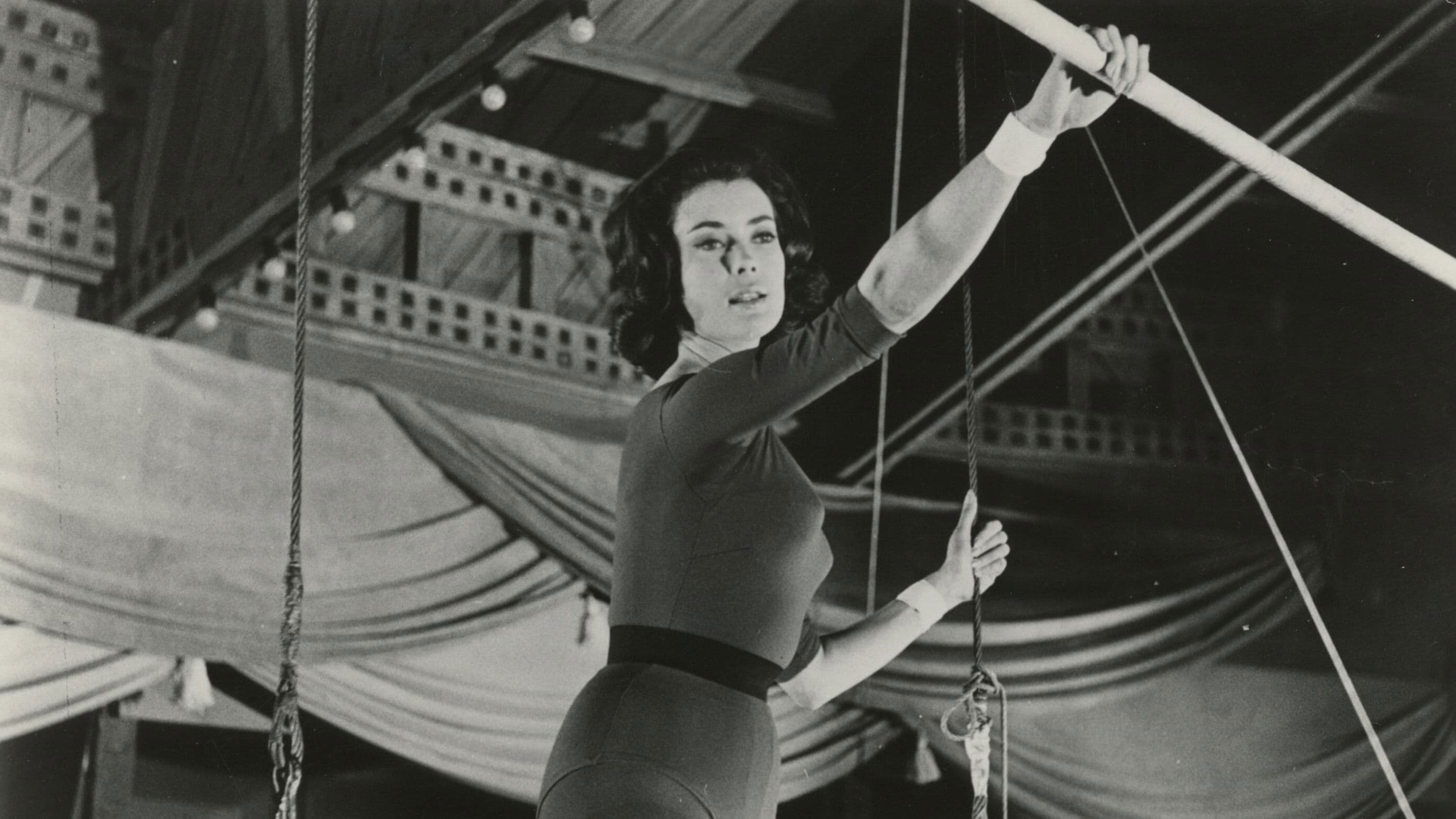 Die große Attraktion