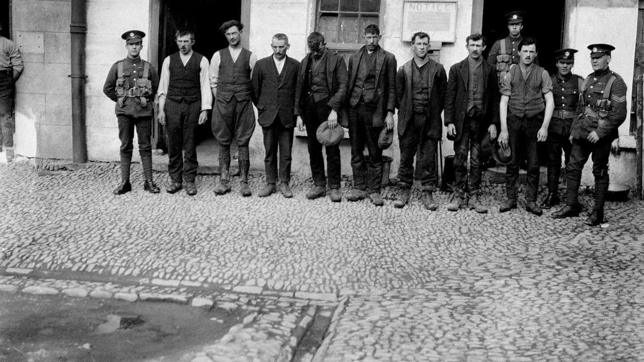 Die irische Revolution