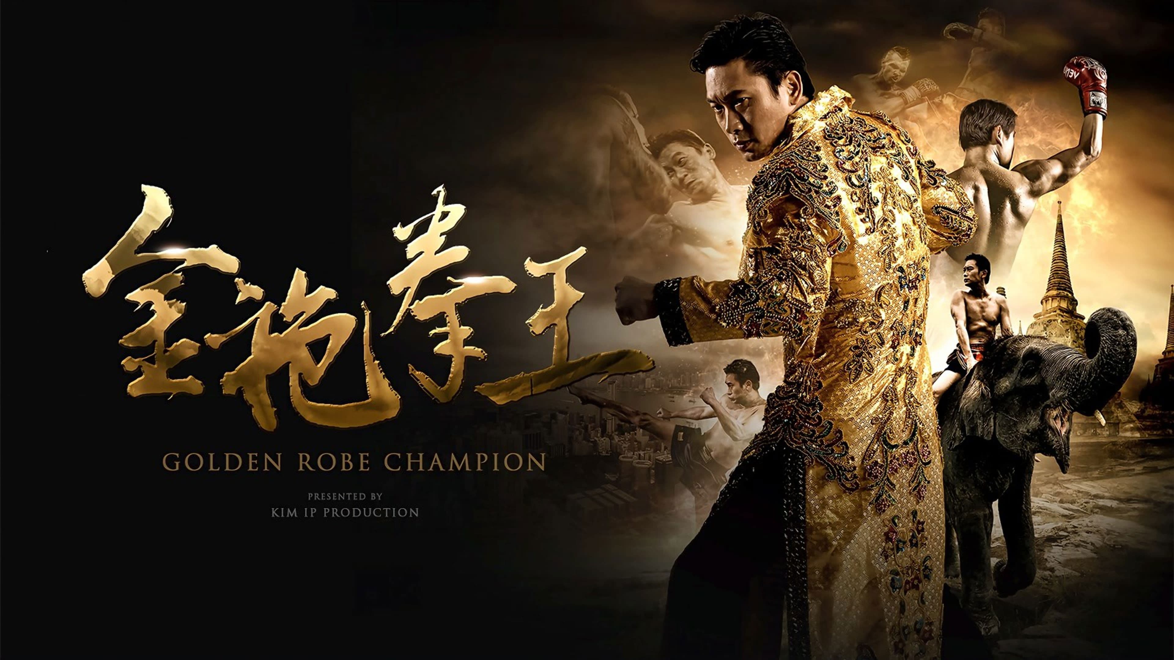 金袍拳王