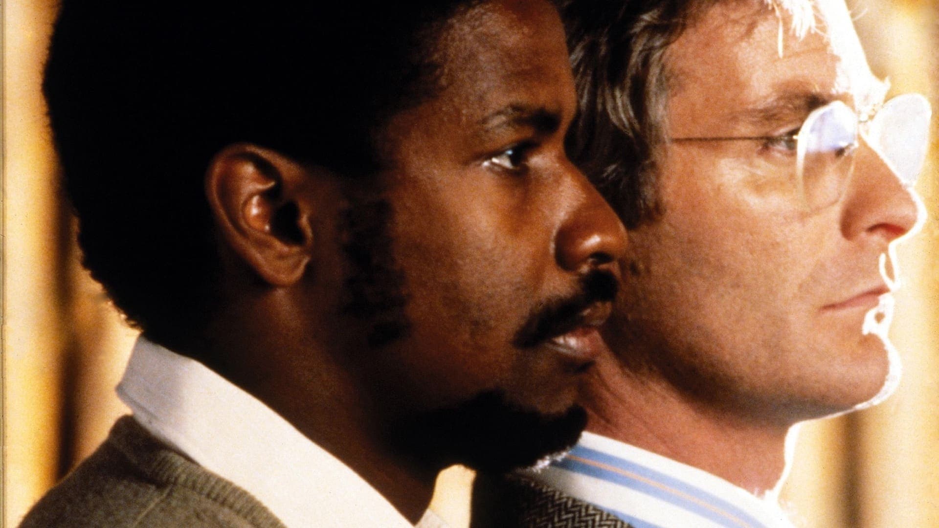 Schrei nach Freiheit