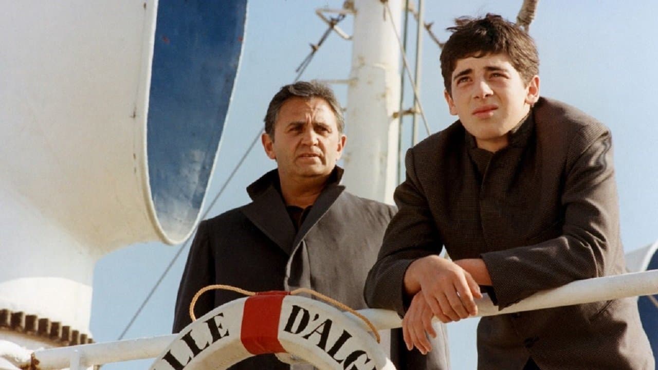 Wirbelstürme des Lebens