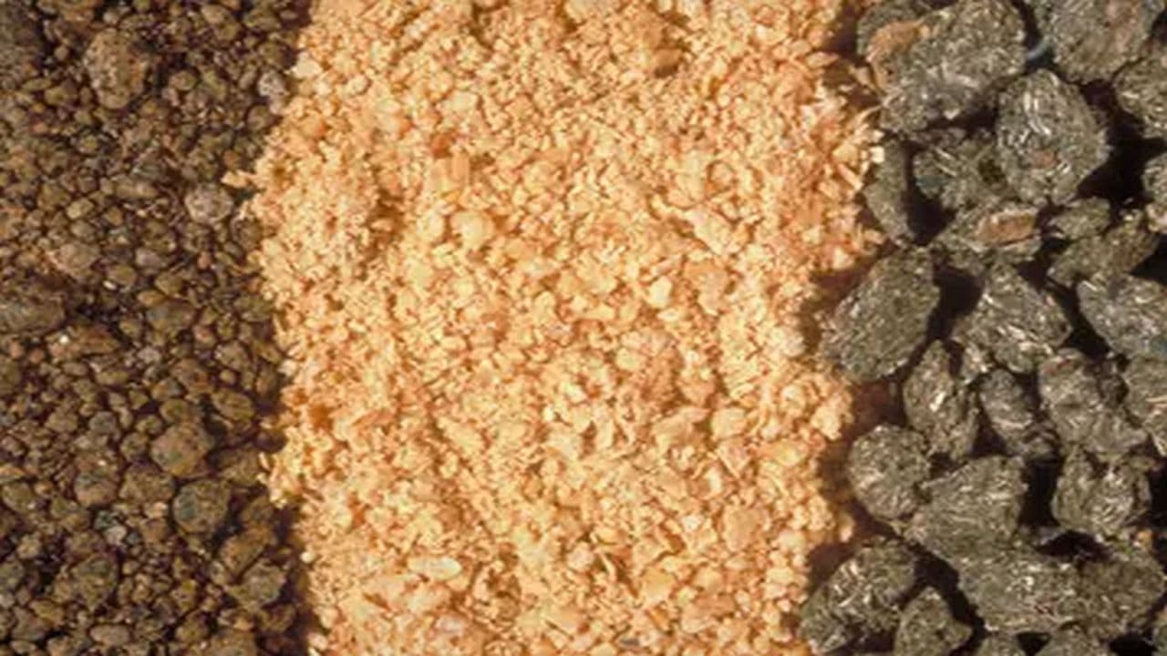 Tod eines Viehzüchters