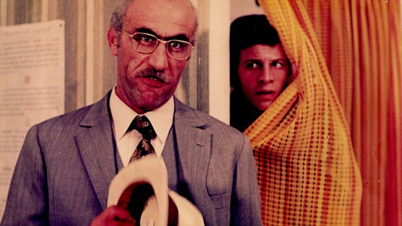 Küsse, Kätzchen und Kamele