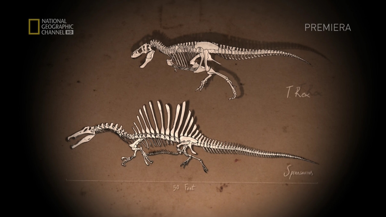 Spinosaurus: Der Urzeit-Gigant