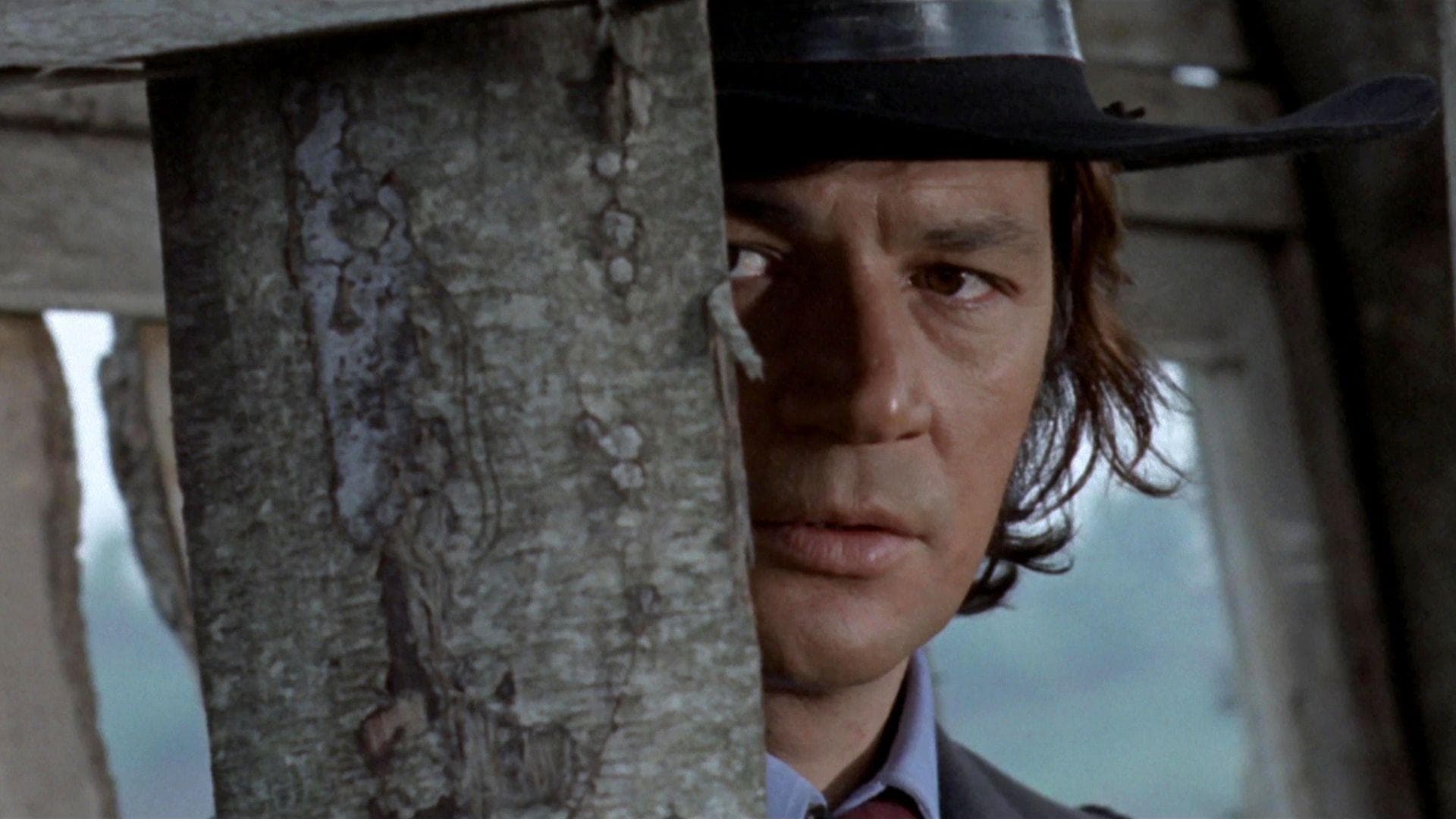 Kopfgeld für einen Killer