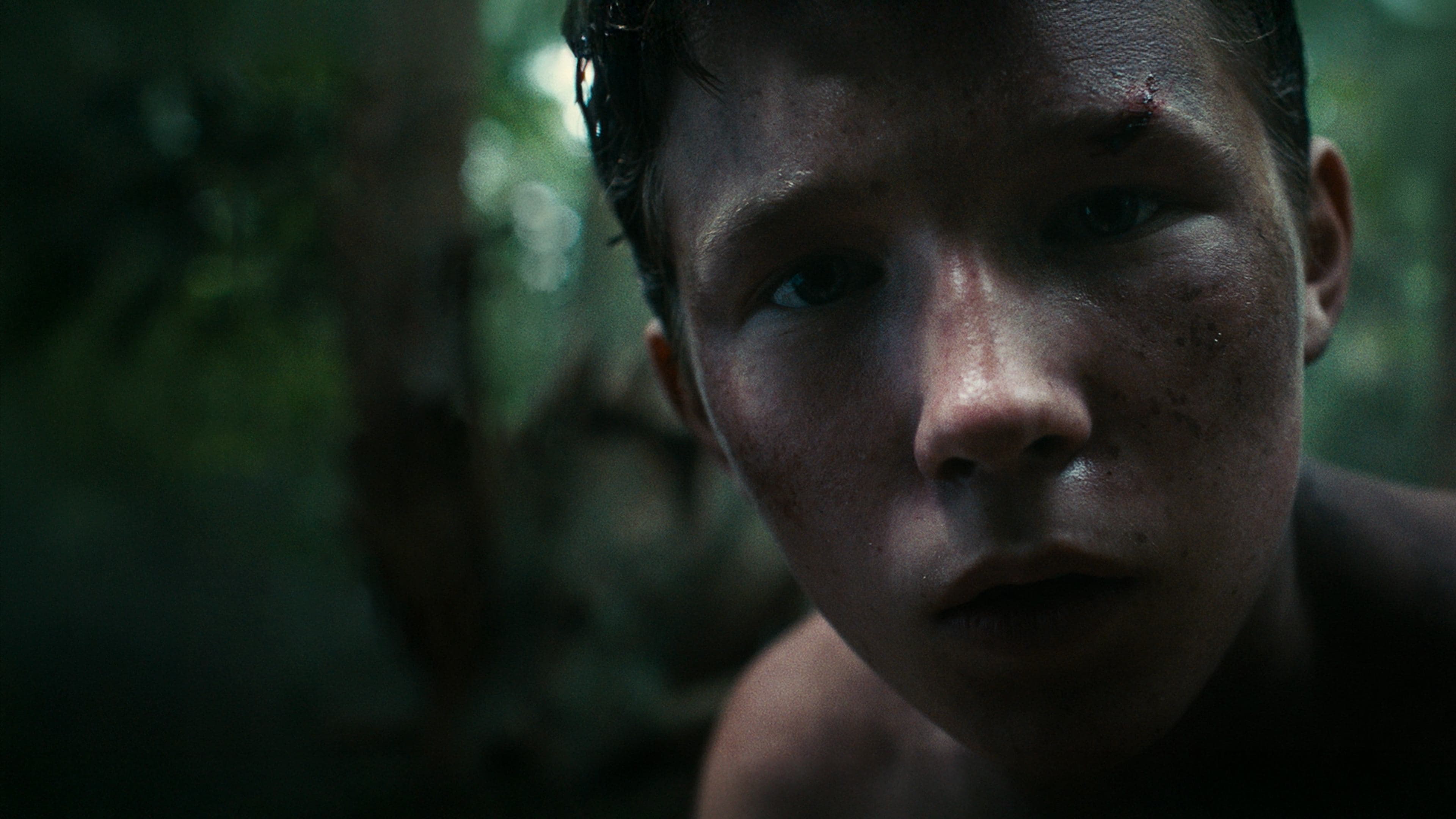 Verloren in der Wildnis