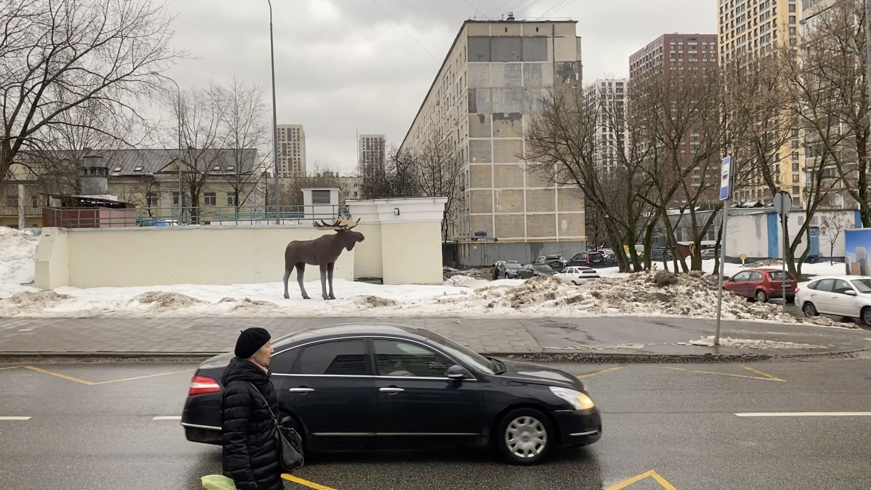 ЗЕРНОВ-ПРОЕКТ