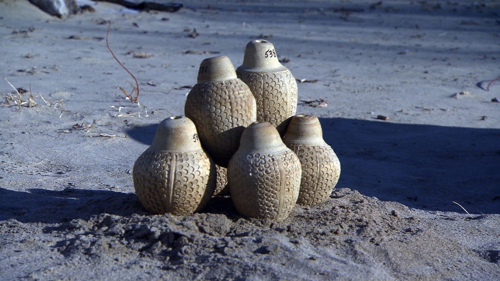 Eine Nacht im Museum