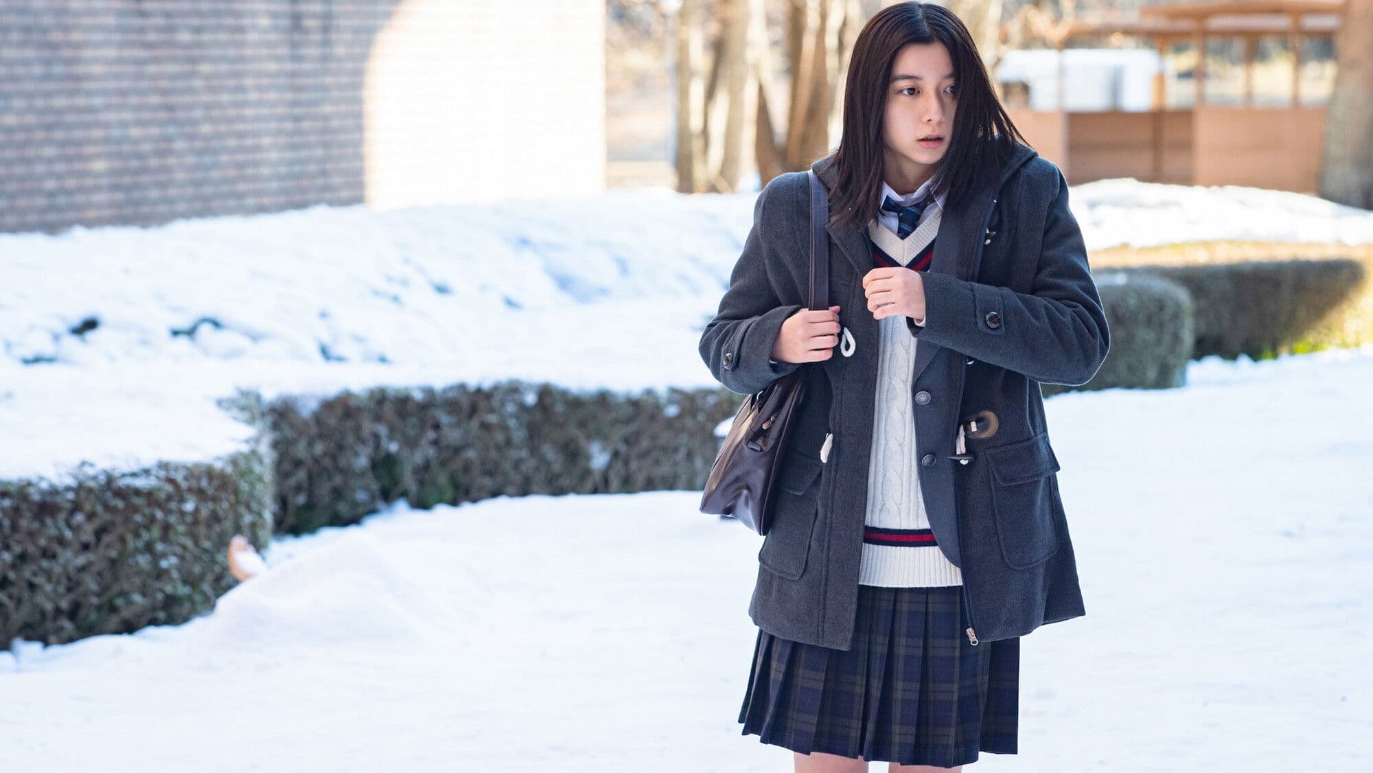 ソロモンの偽証