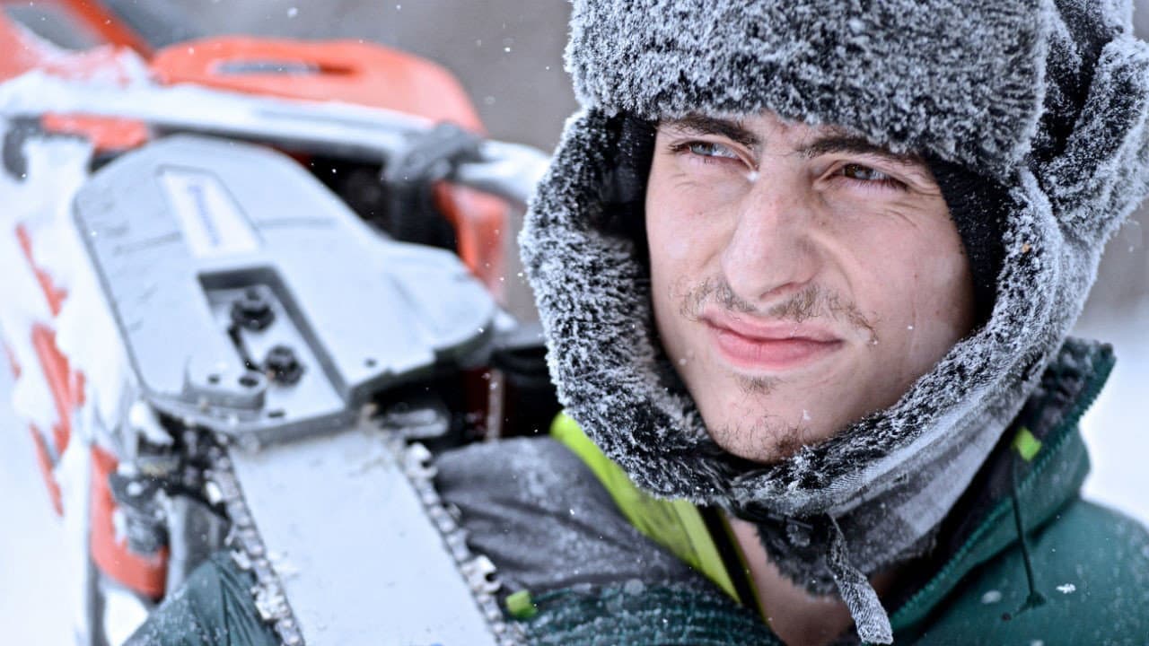 Siberian Cut - Holzfäller am Limit