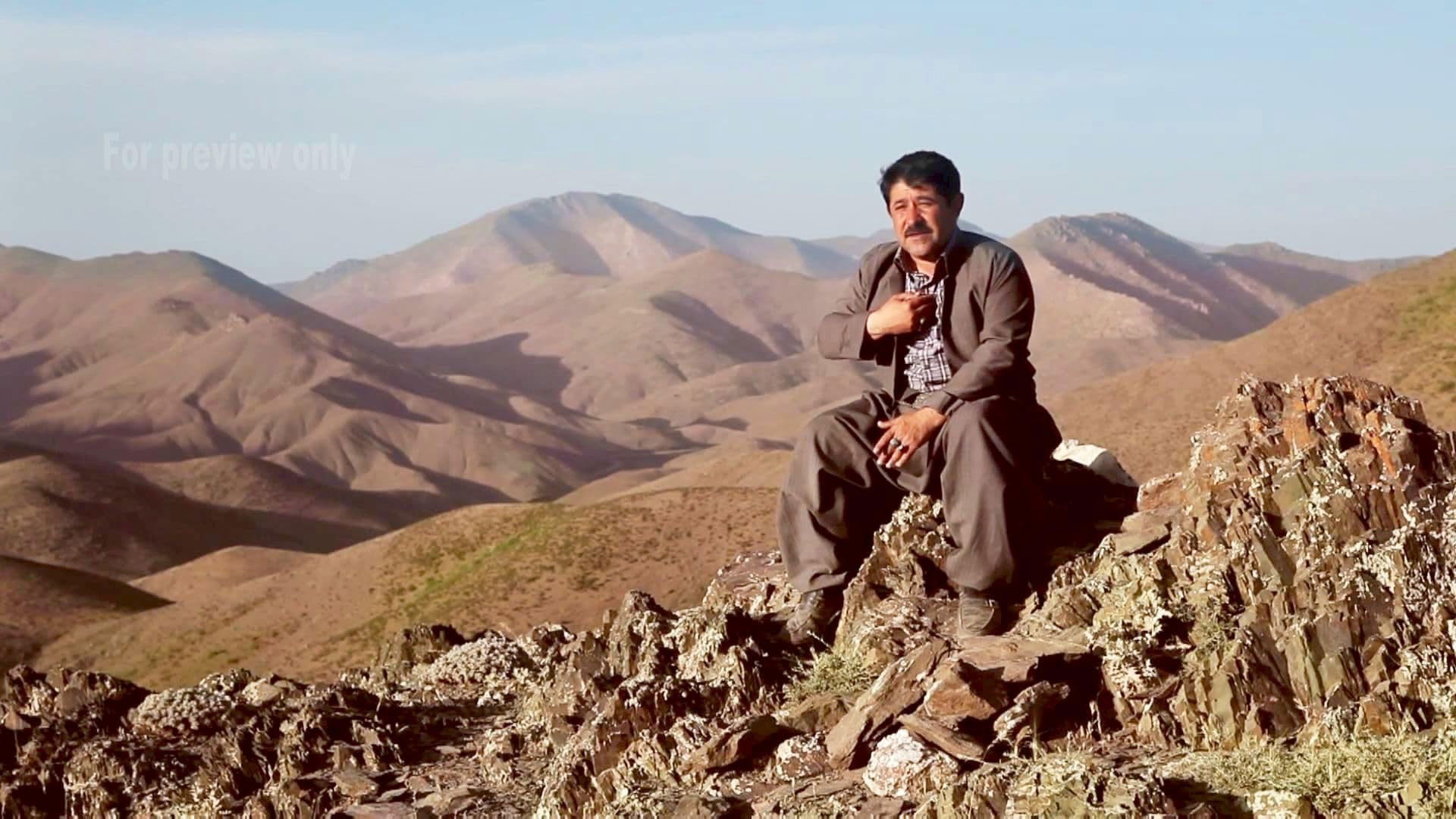 ماڵاوا ئانالۆگ