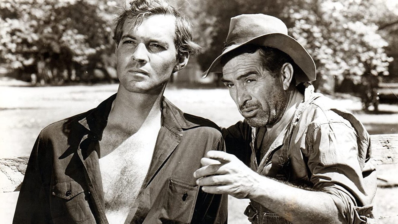 Der Mann aus dem Süden