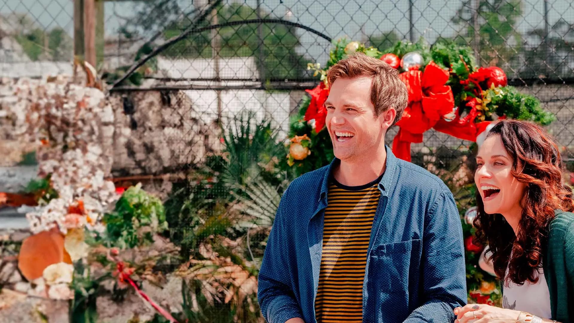 Christmas Wish - Wenn Wünsche wahr werden