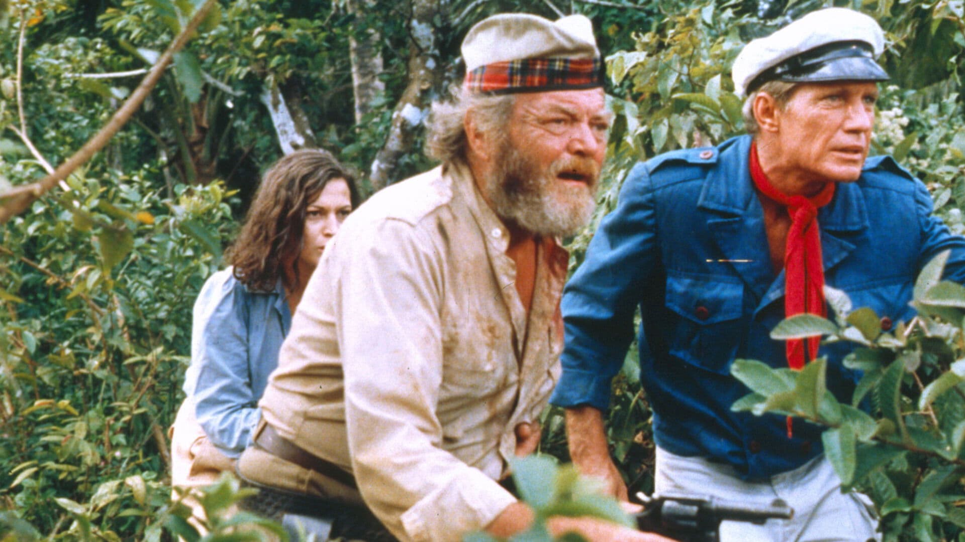 Die Jäger der goldenen Göttin