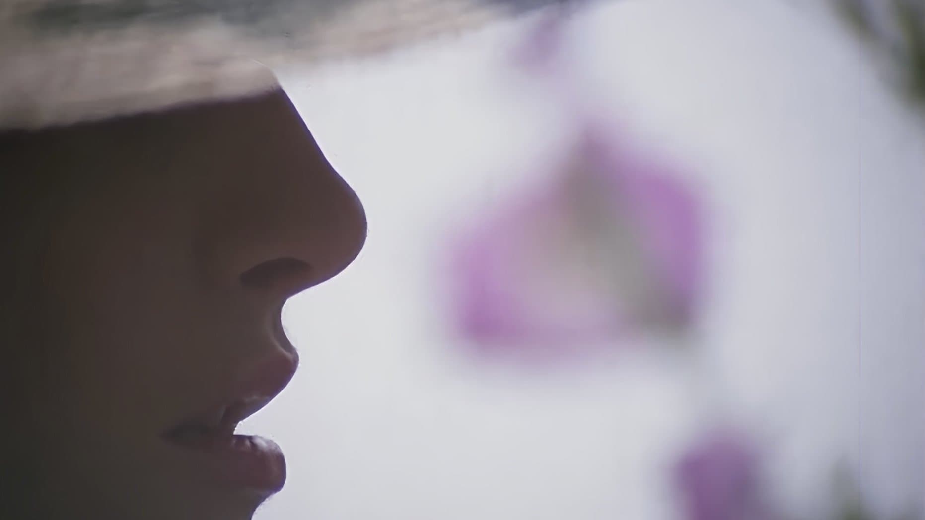 Cecilia - hemmungslos und unersättlich