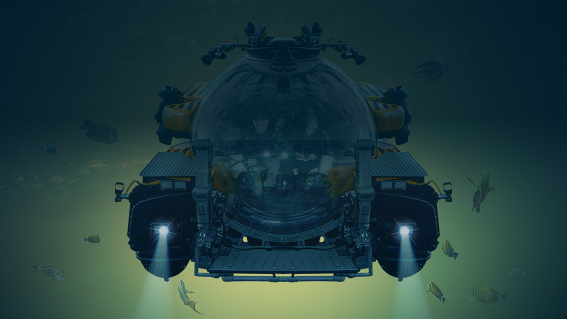 OceanXplorers – Geheimnisse der Ozeane