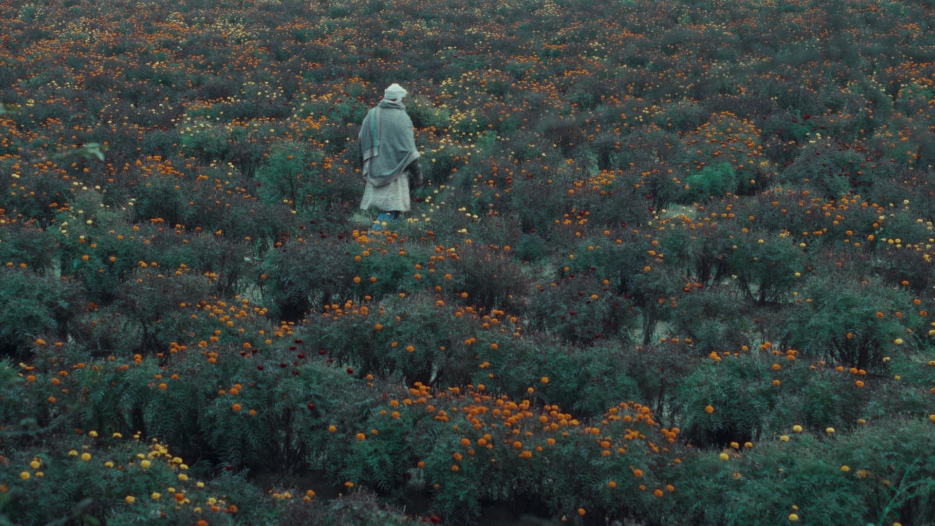 खाल बछड़ा