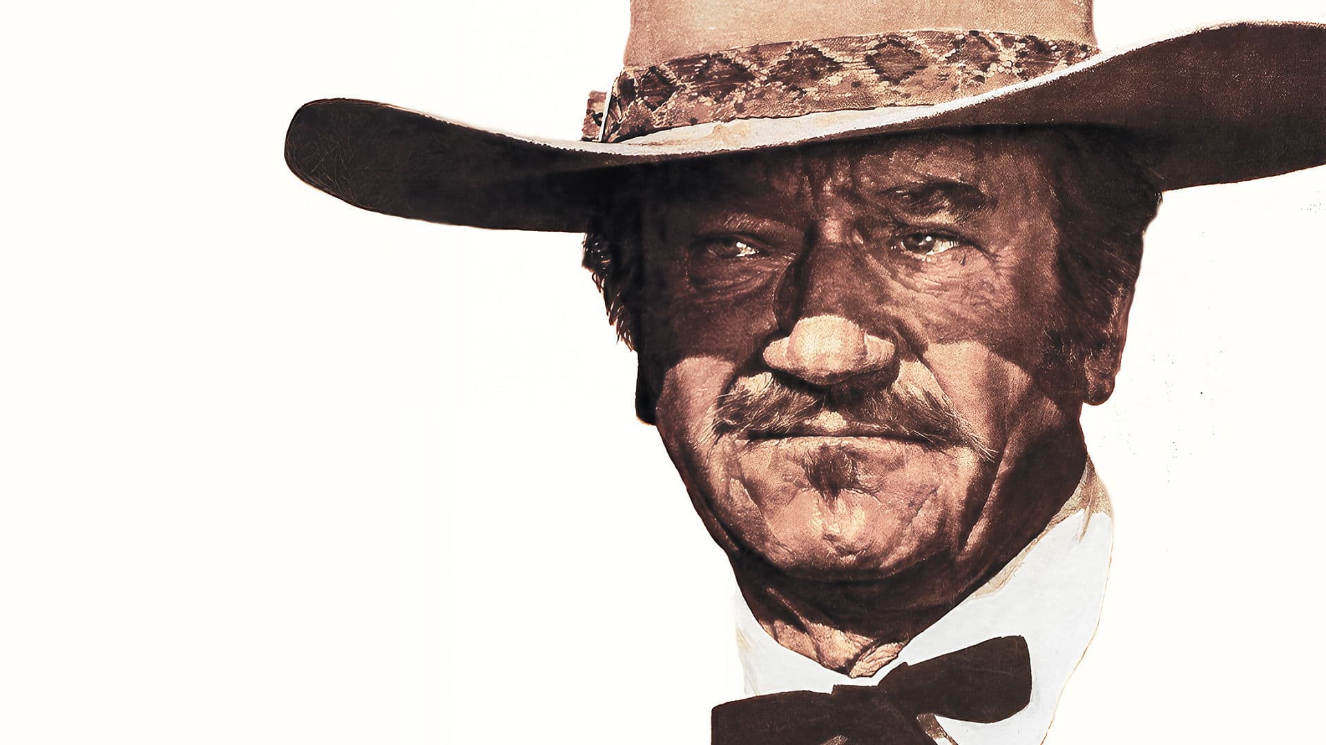 Der letzte Scharfschütze