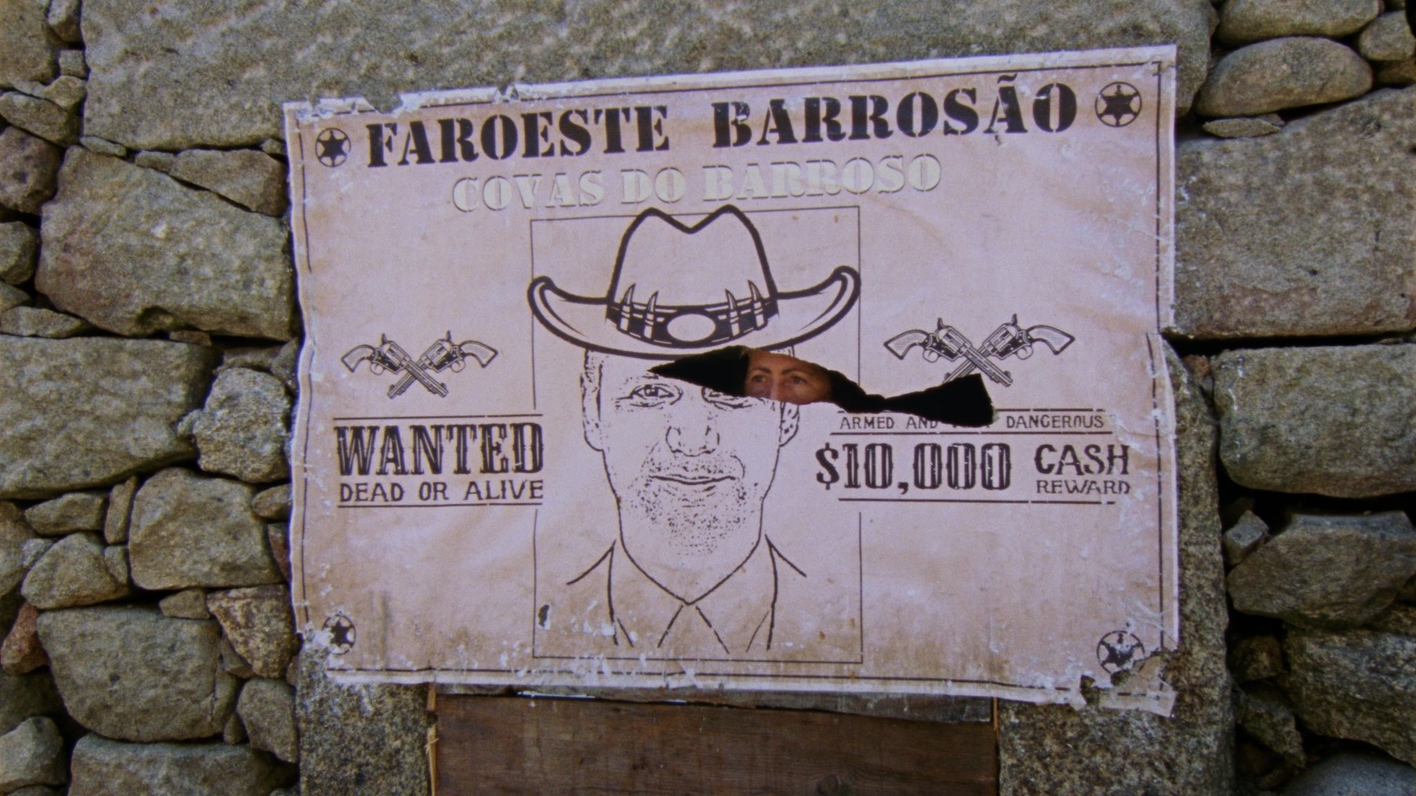 A Savana e a Montanha