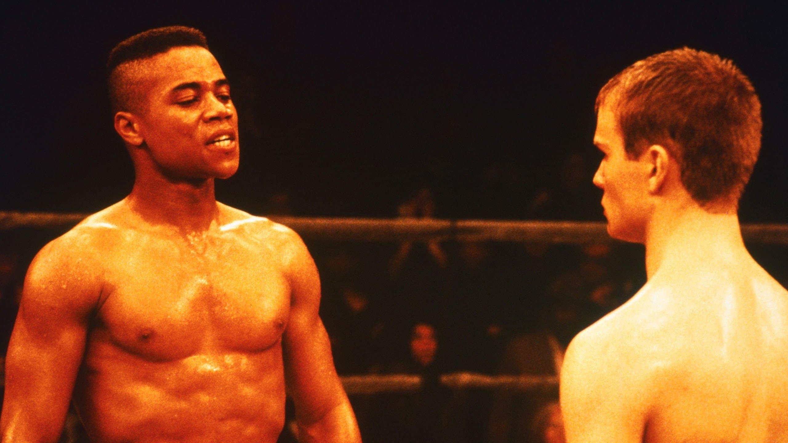 Fäuste - Du musst um dein Recht kämpfen