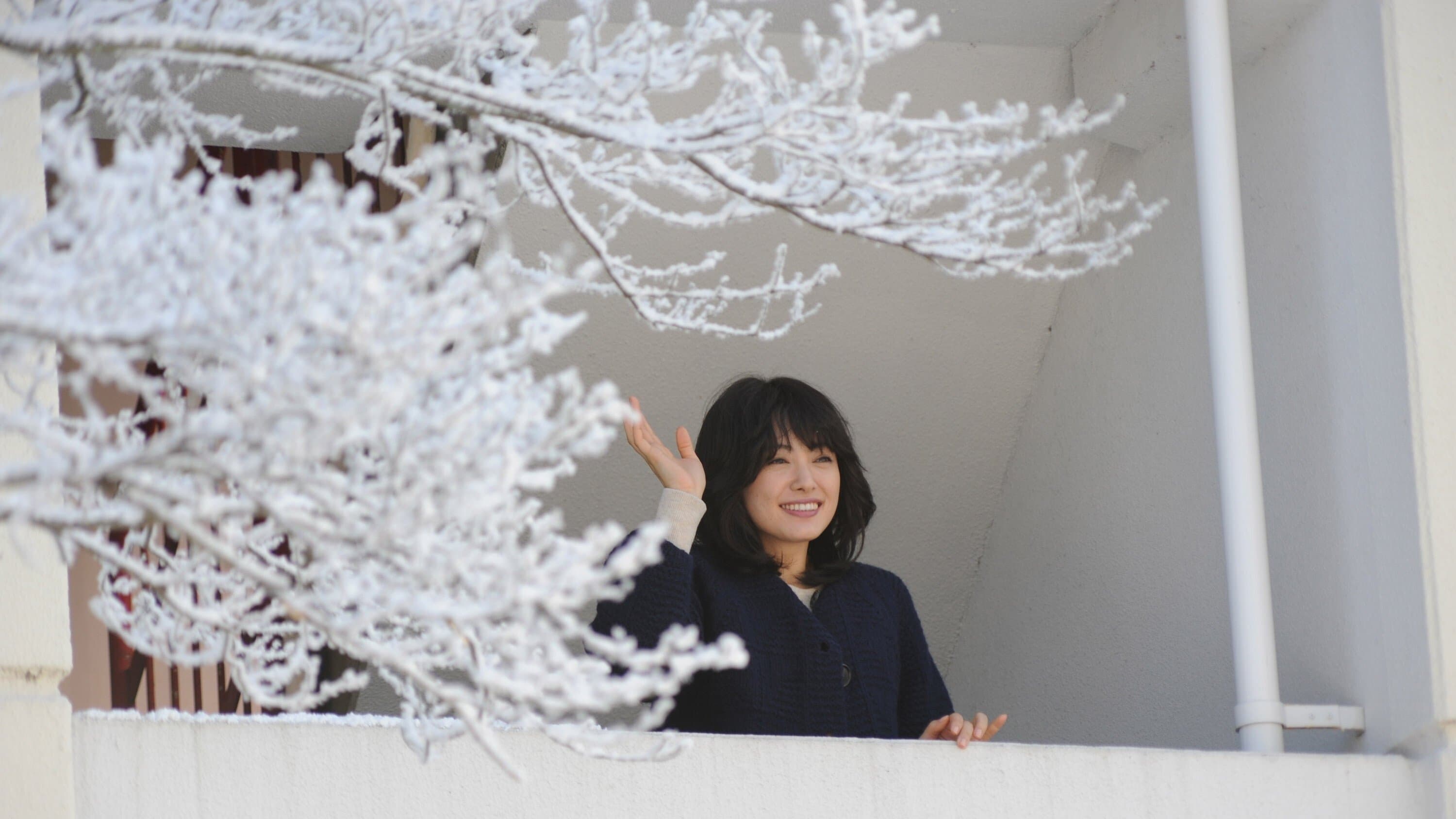 FLOWERS フラワーズ