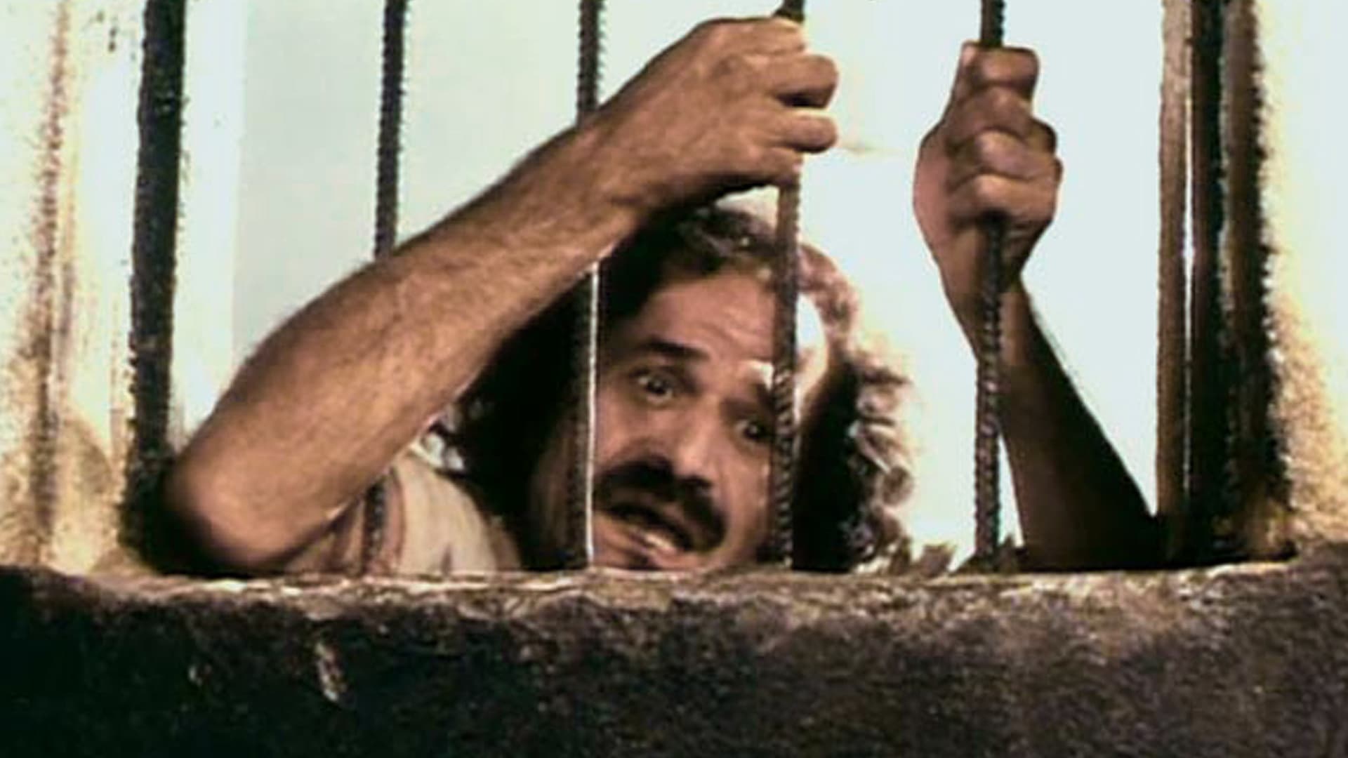 Youcef ou la légende du septième dormant