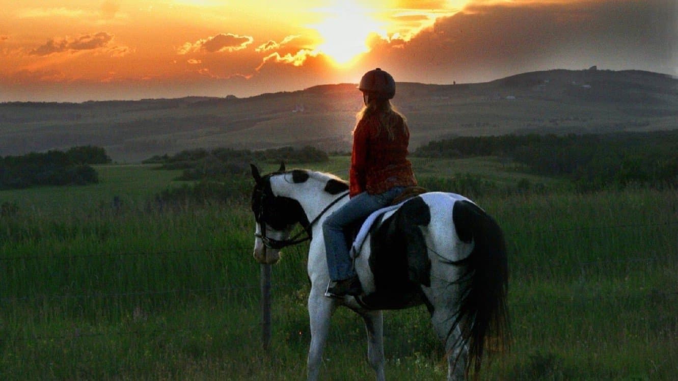 Ein Pferd für Moondance