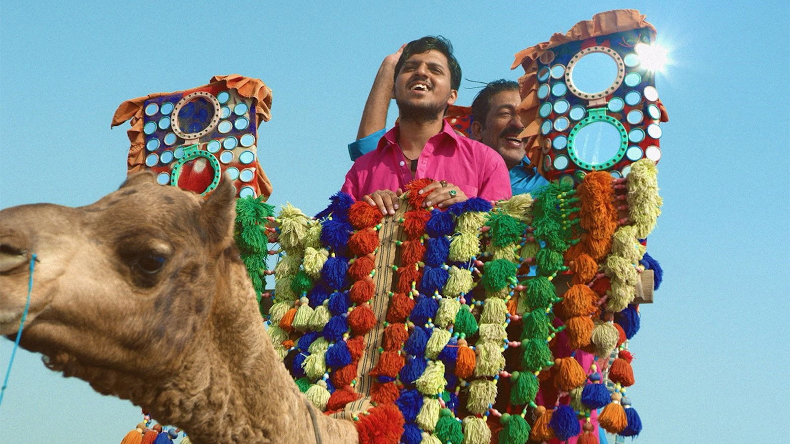 آوارہ کتے راتائن نو نکل دے