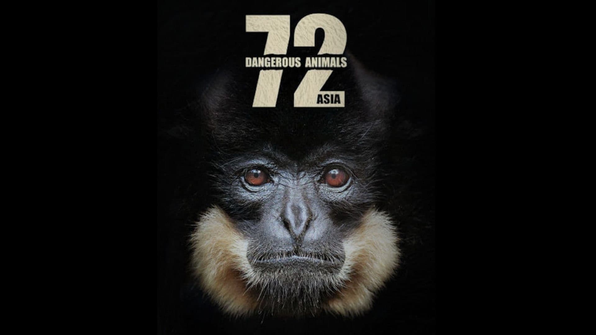 72 gefährliche Tiere: Asien