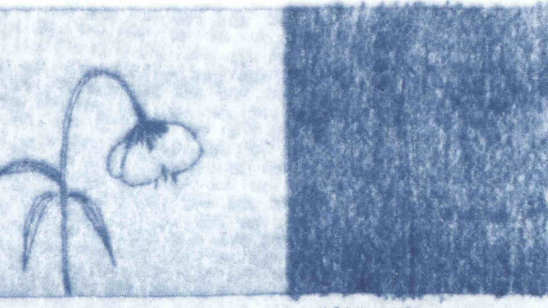 Au vent les songes bleus