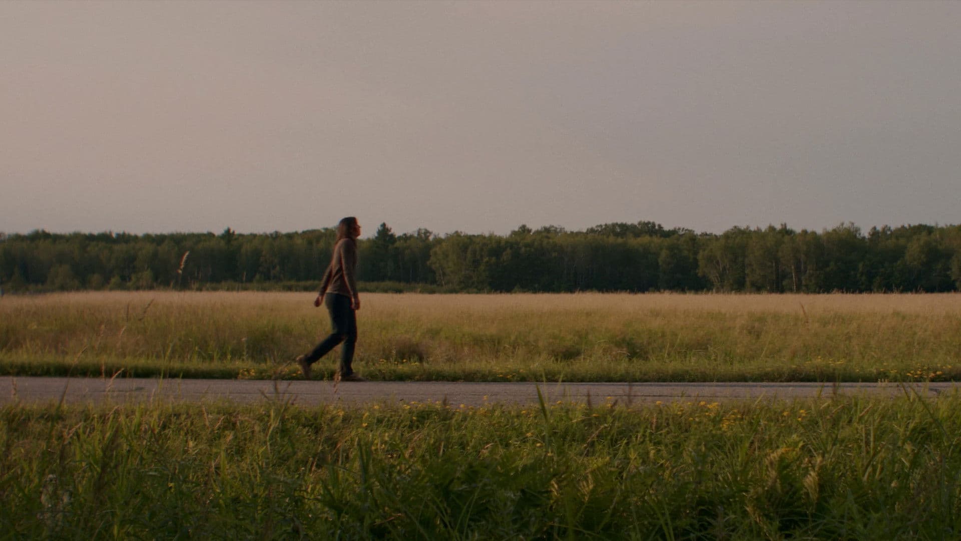 Blossom Needs A Ride Home